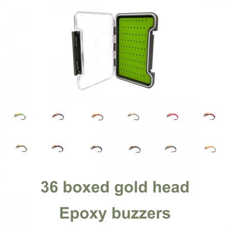 36 gold head epoxy buzzer boxed set